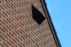 49800343_1876852342442182_6810916158259068928_n